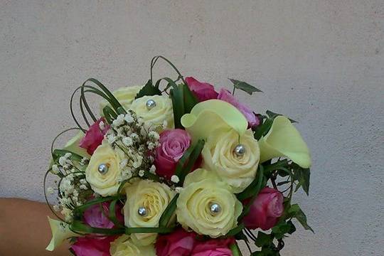 Fleurs de thé...Rêves