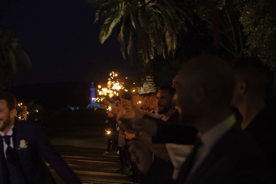 Joie étincelle du Cygne d'Azur
