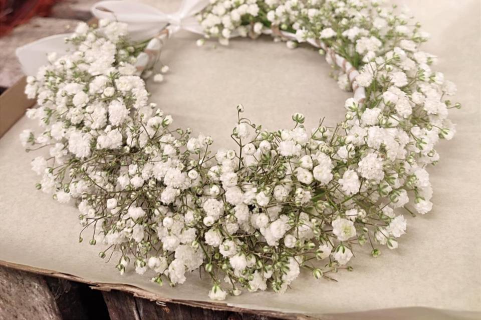 Couronne gypso