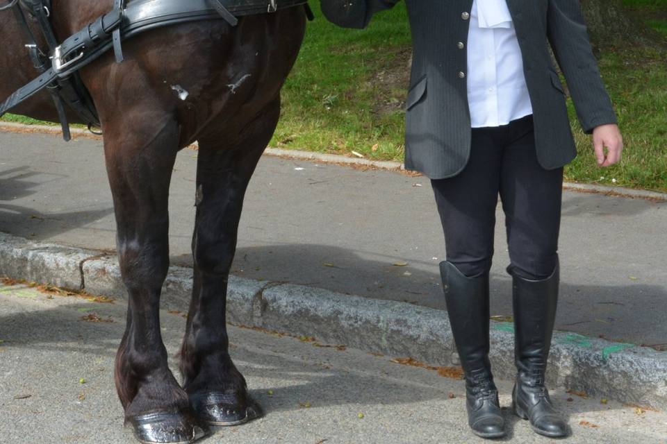 Écurie les Crinières au Vent