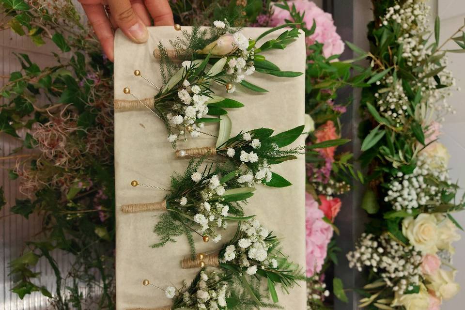 Boutonnières gypso