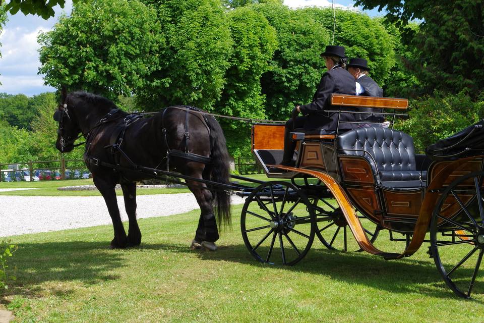 Ecurie les Crinières au Vent