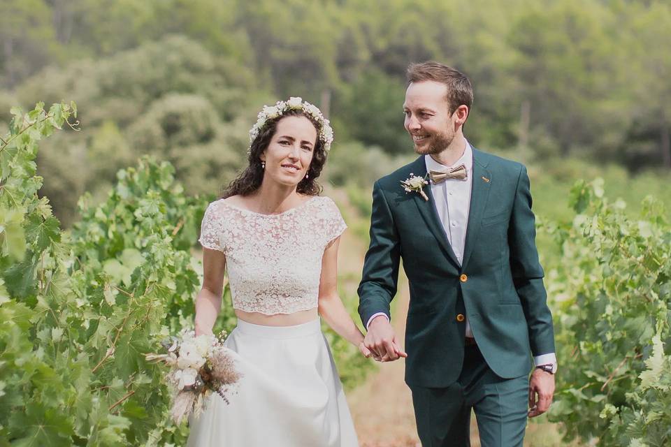 Le vert dans les vignes