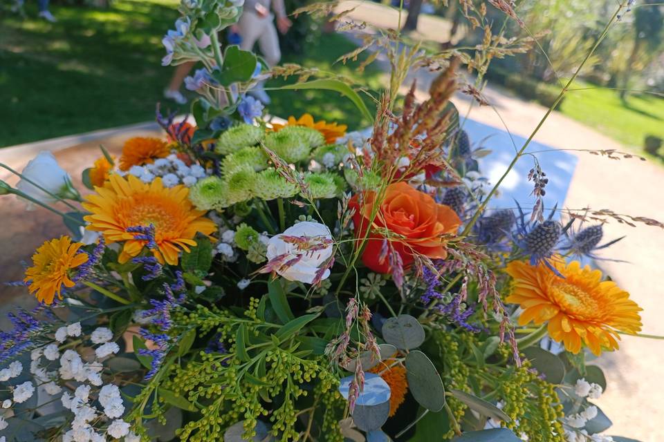 Pivoines Et Graminées