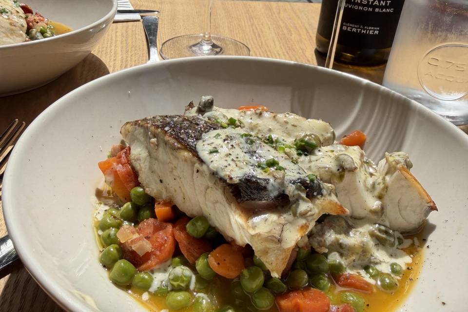 Poisson