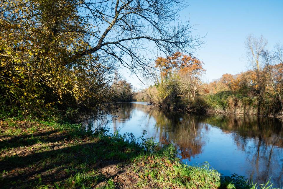 Le bord de la rivière