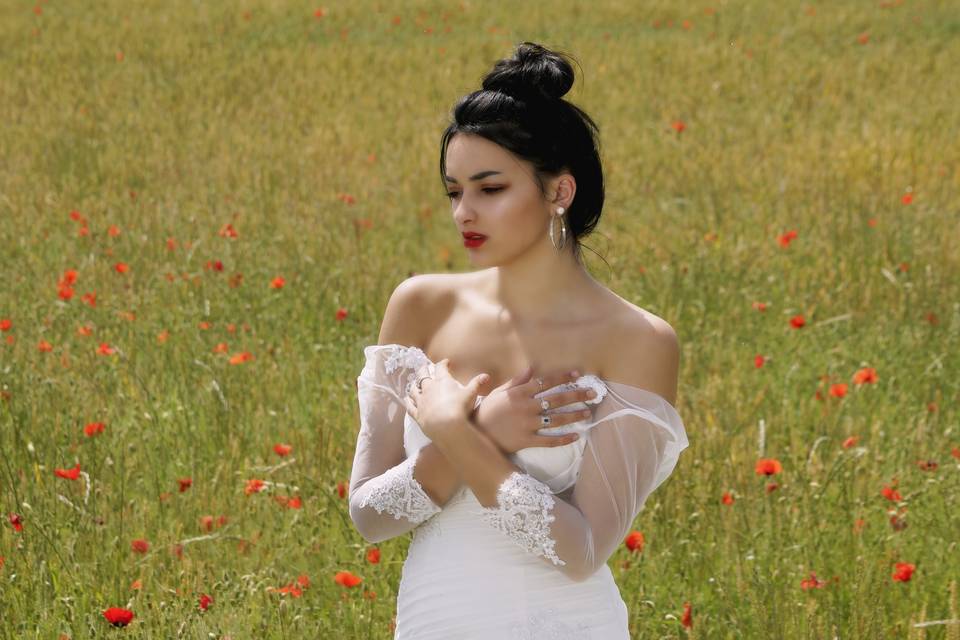 Coquelicots