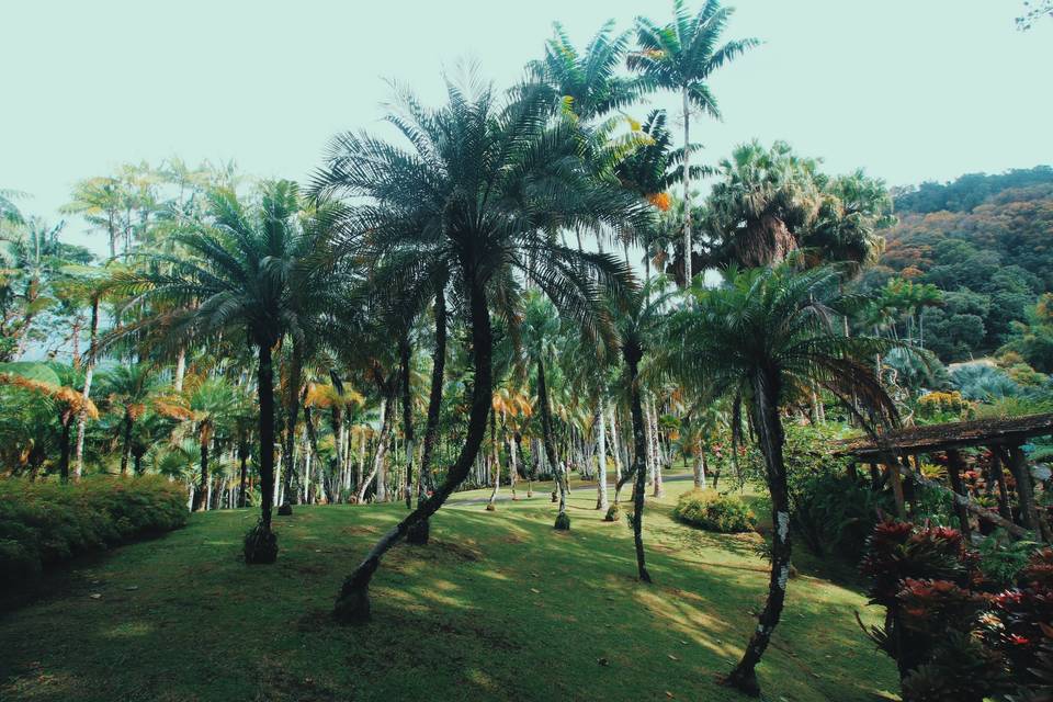 Balata