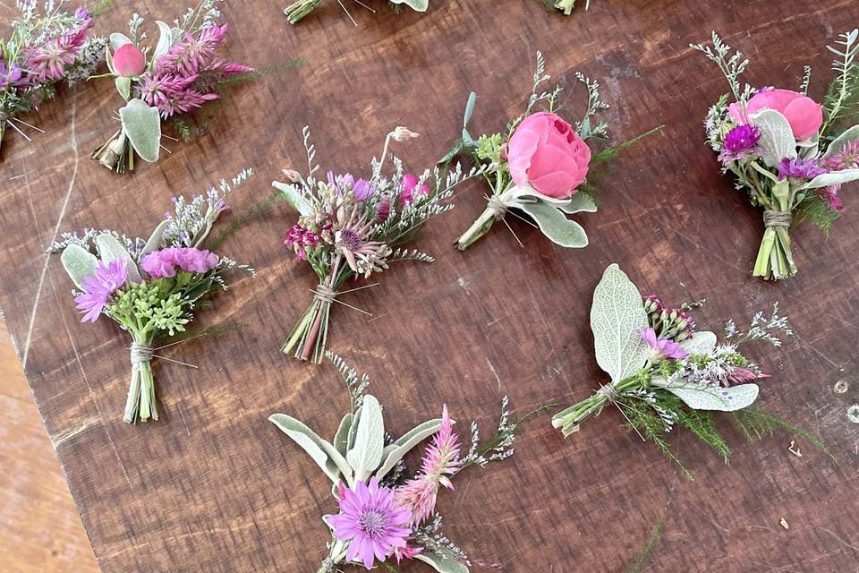 Série boutonnières