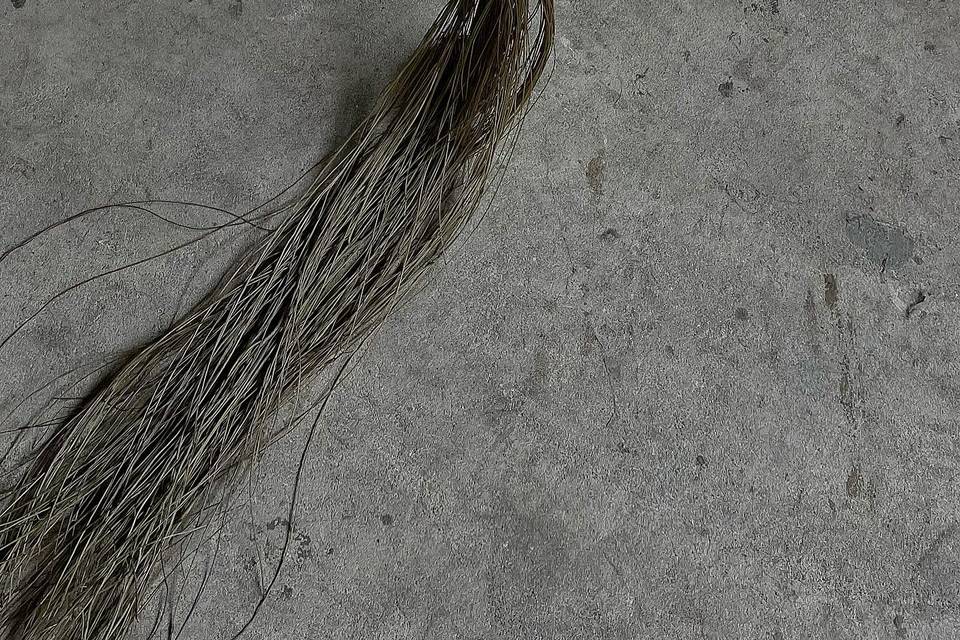 BloomsUncut