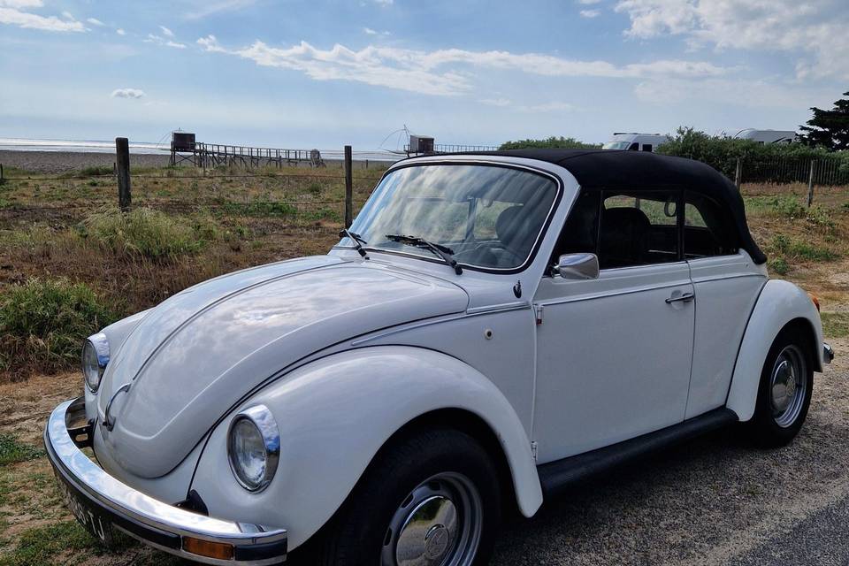 Cox cabriolet 79