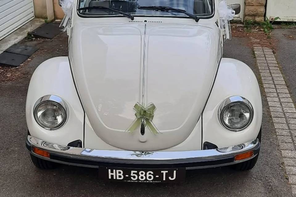 Cox cabriolet 79