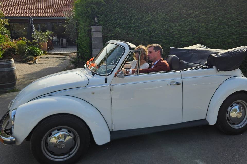 Cabriolet Cox 79
