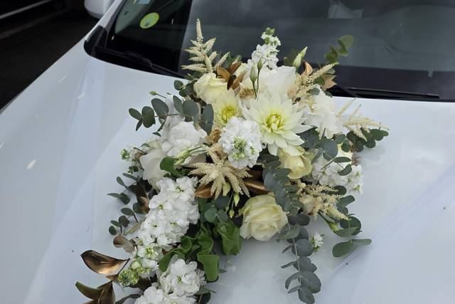 Ventouse de voiture