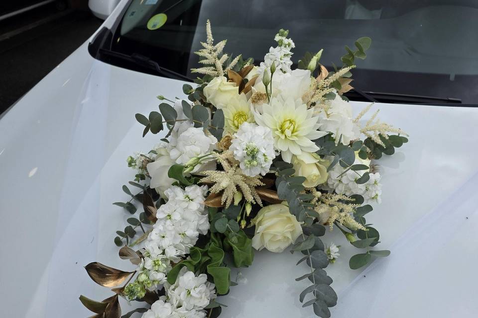 Ventouse de voiture
