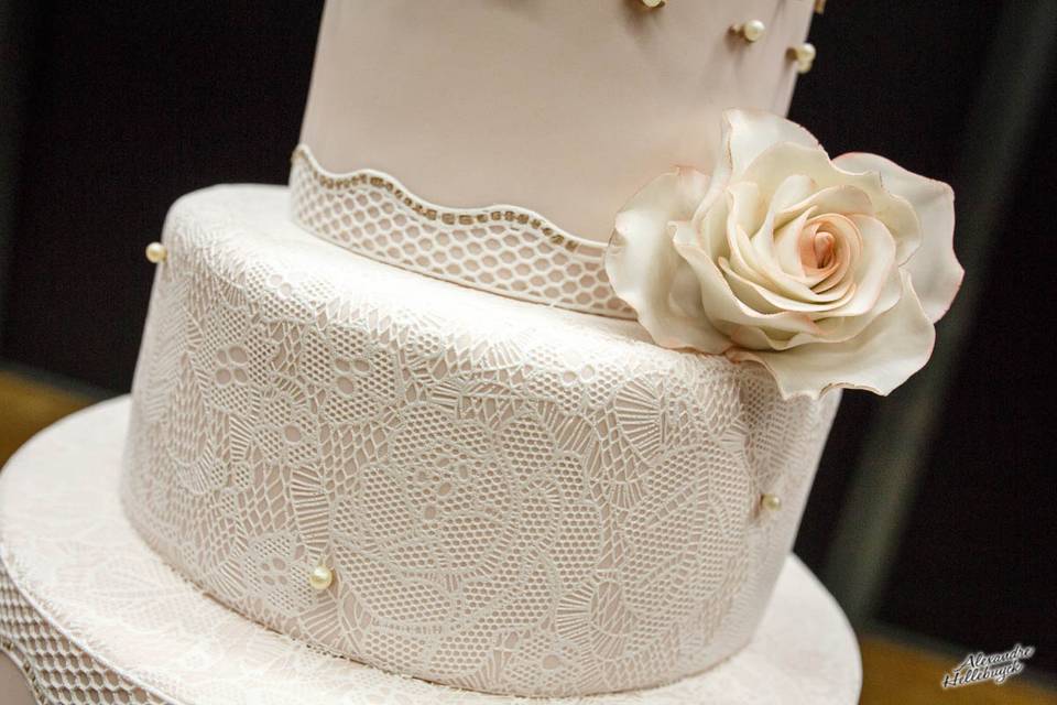 Sani Wedding cake logo