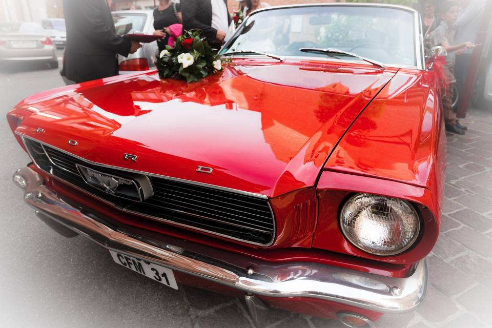 Mustang
