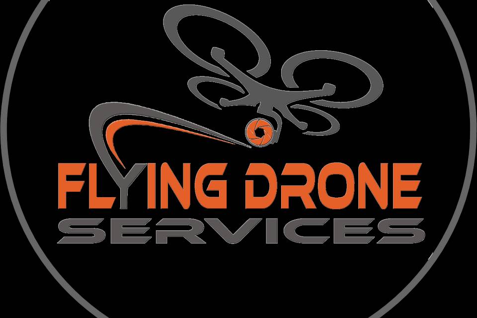 Logo drone