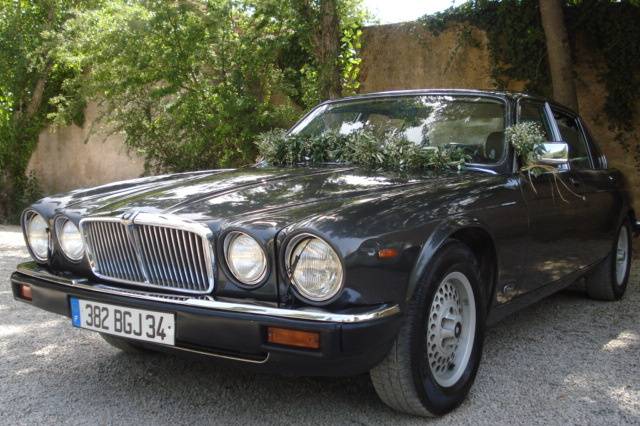 Jaguar xj6 1984