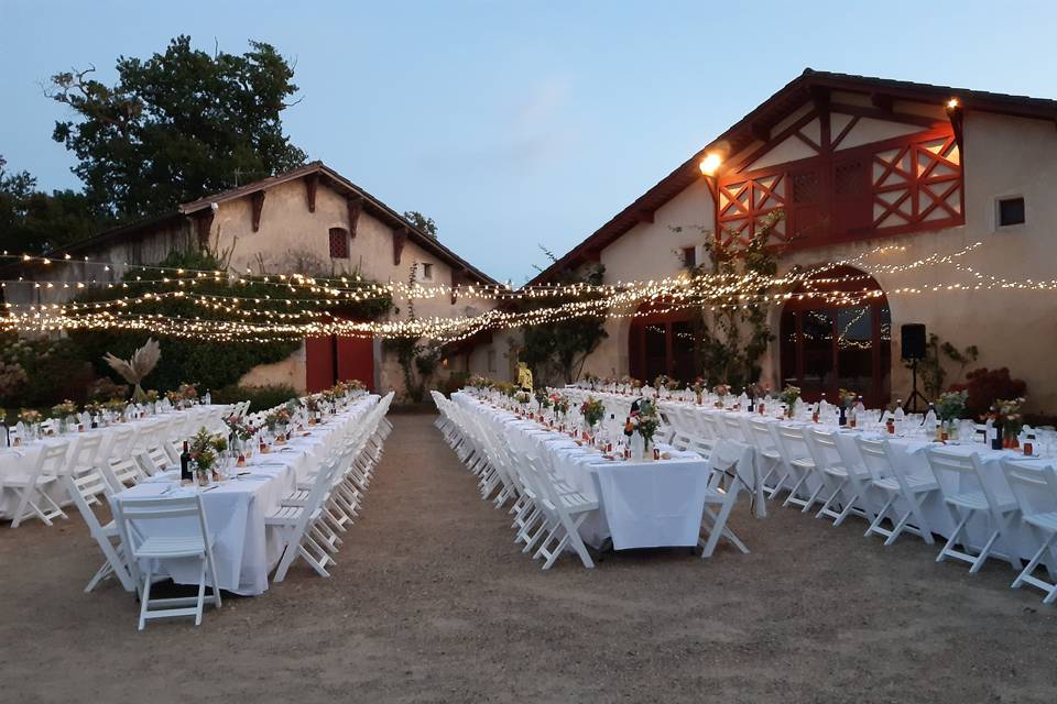 Dîner sous les étoiles