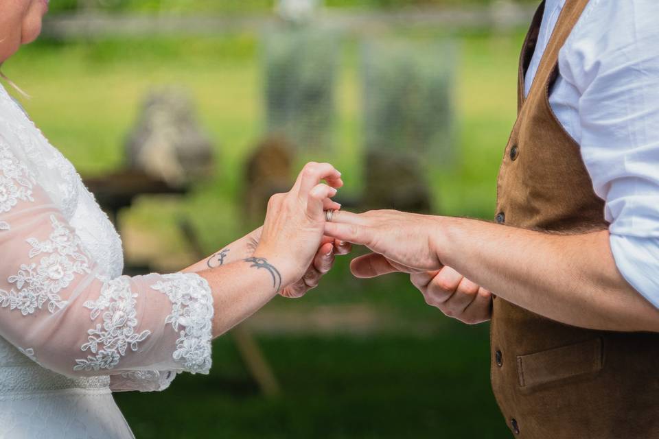 Mariage de Corinne et Sébastie