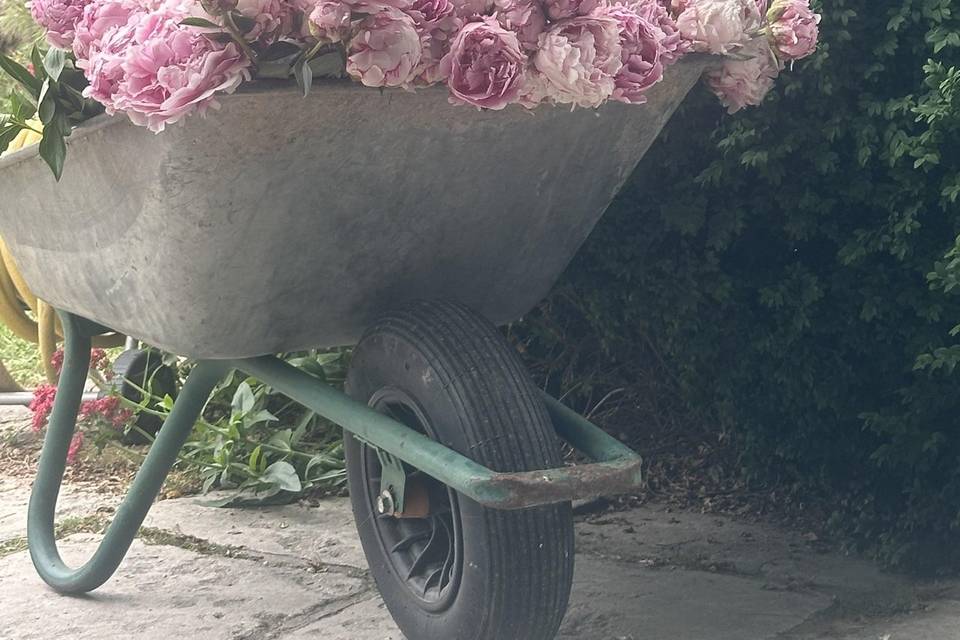 Point Fleurs