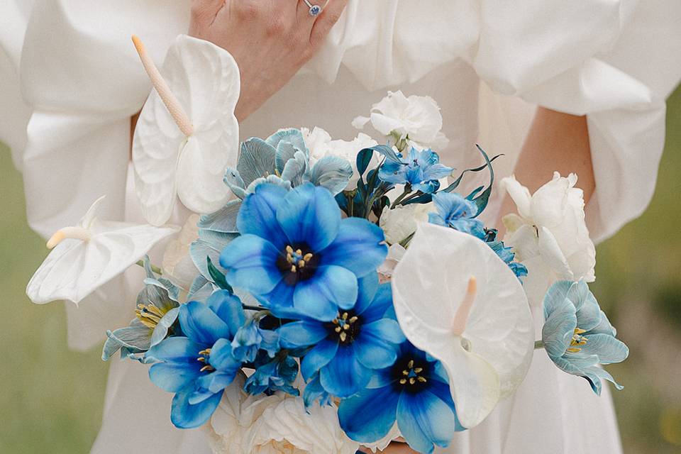 L&B - Dom. des Pierres Bleues
