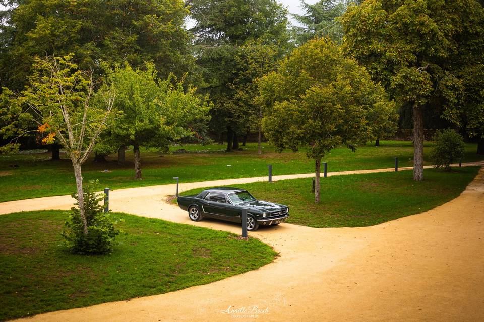 Le Jardin