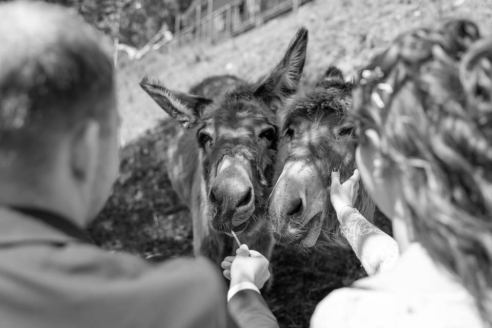 Mariage Valentine & Antoine