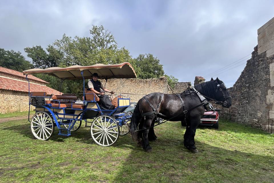 La calèche pour balader