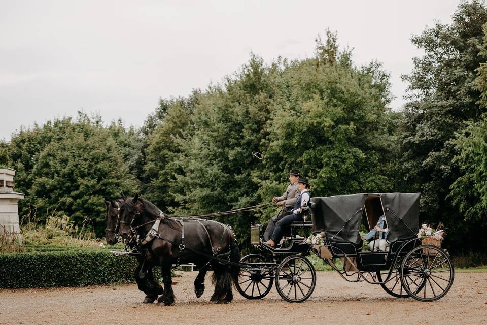 Attelage à 2 chevaux