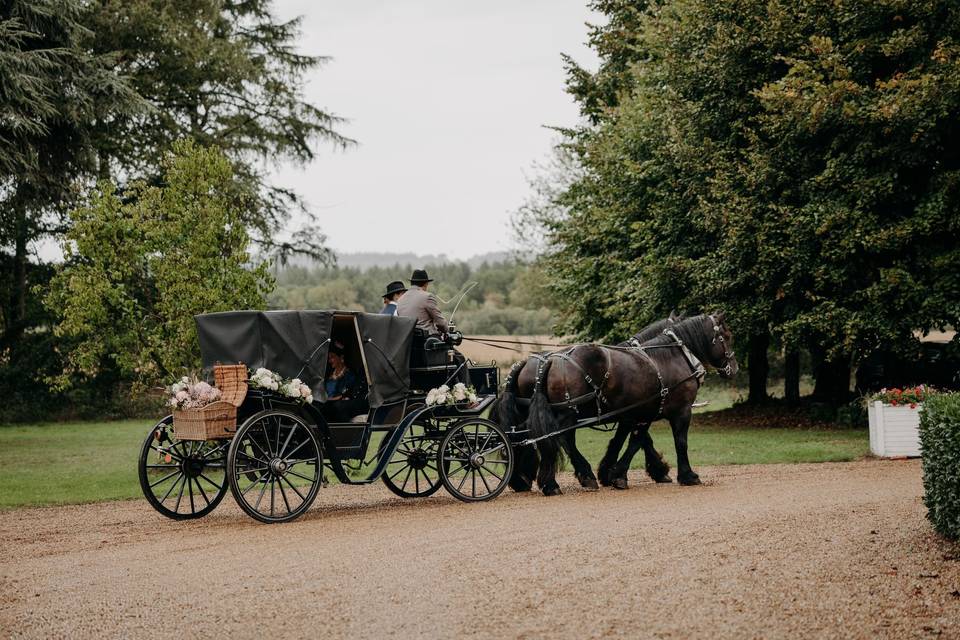 Attelage à 2 chevaux
