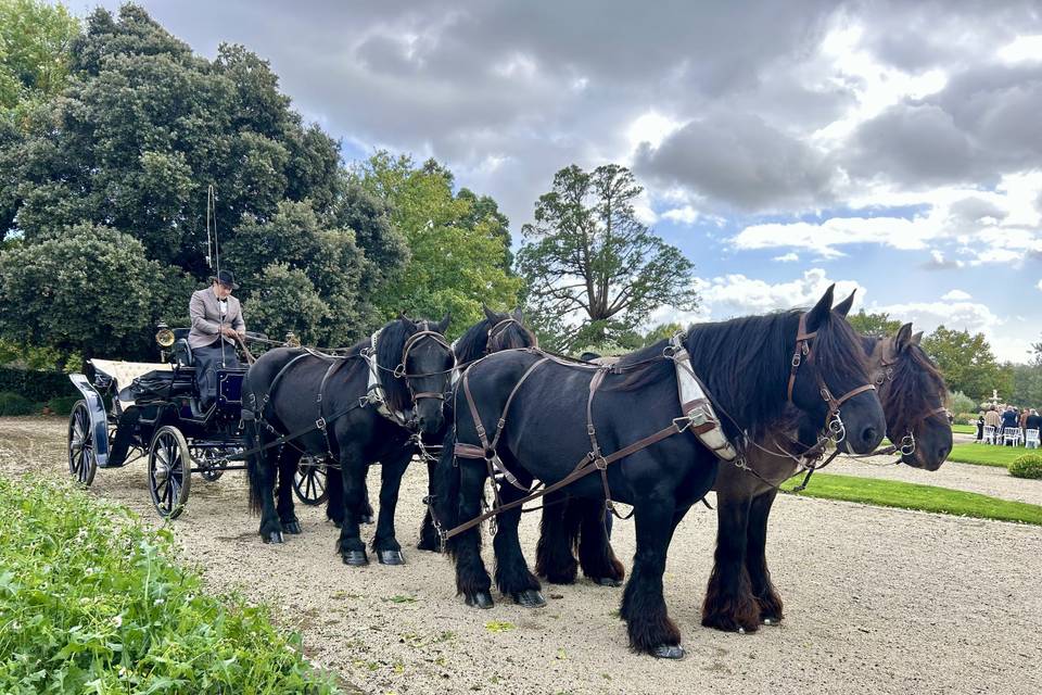 Attelage à 4 chevaux