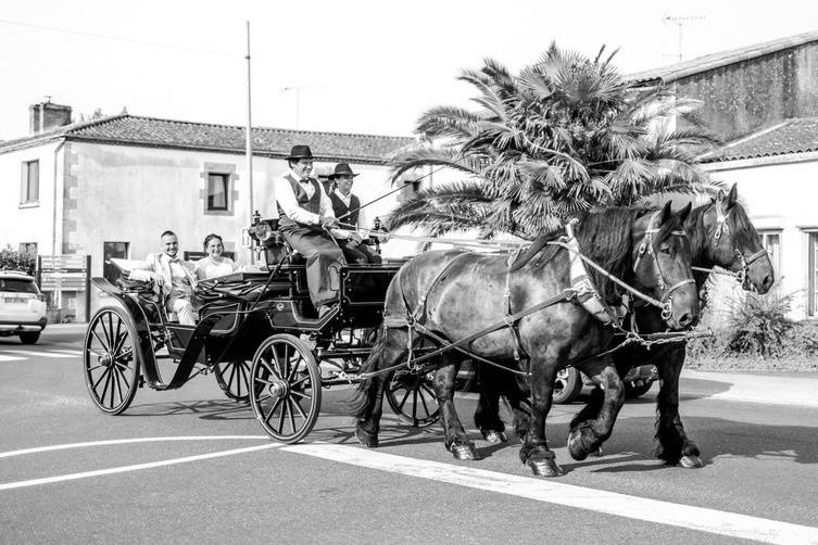 Attelage à 2 chevaux