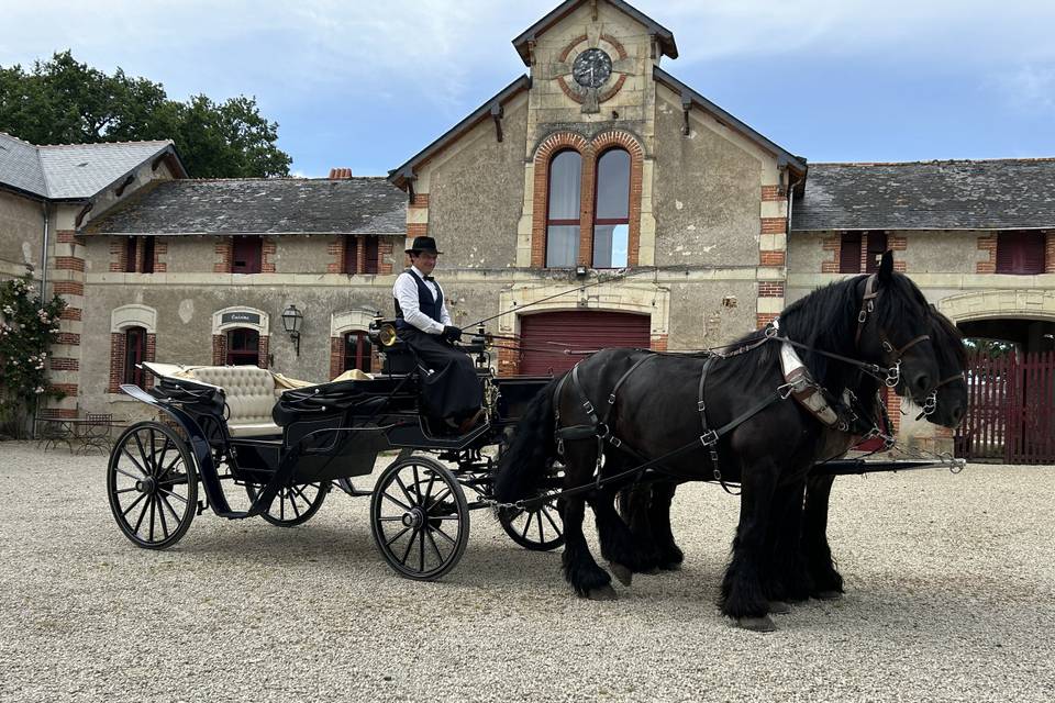 Attelage à 2 chevaux