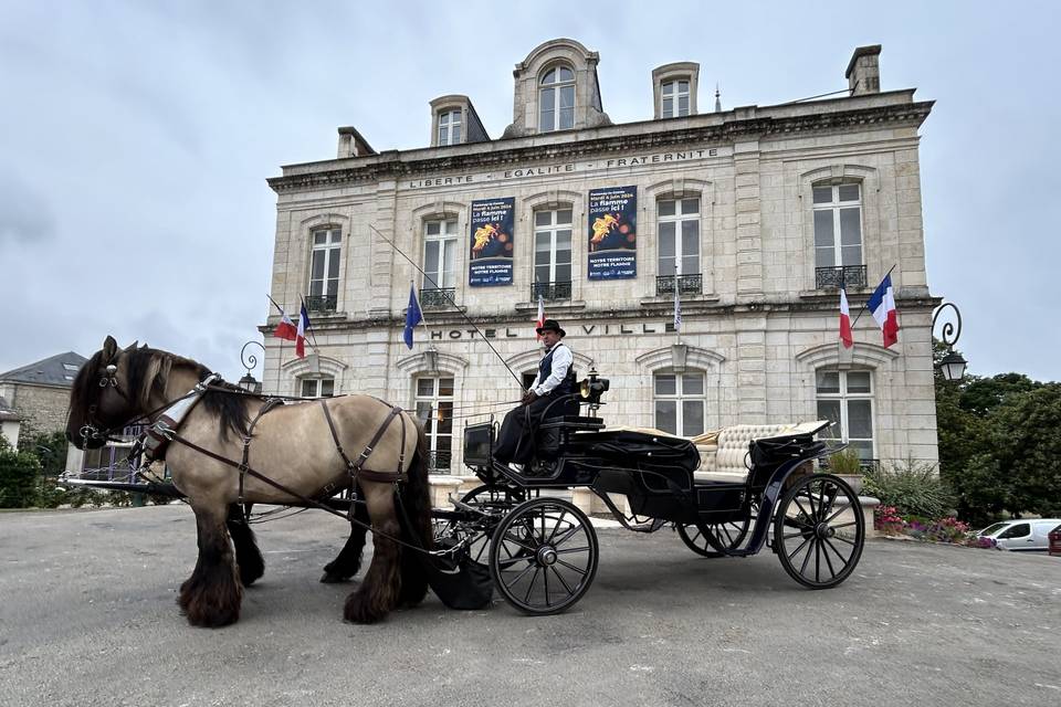 Attelage à 2 chevaux