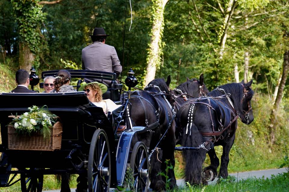 Attelage à 4 chevaux