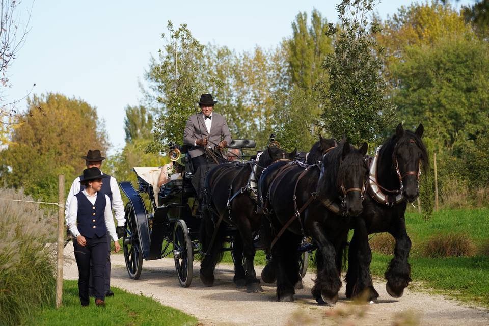 Attelage à 4 chevaux