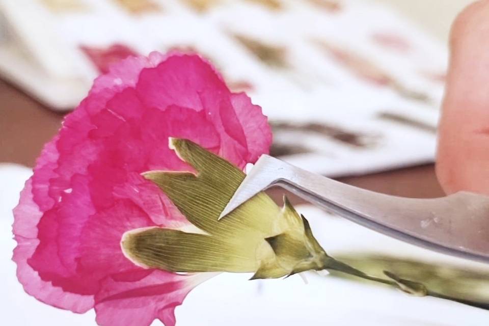 Recomposition d'une fleur