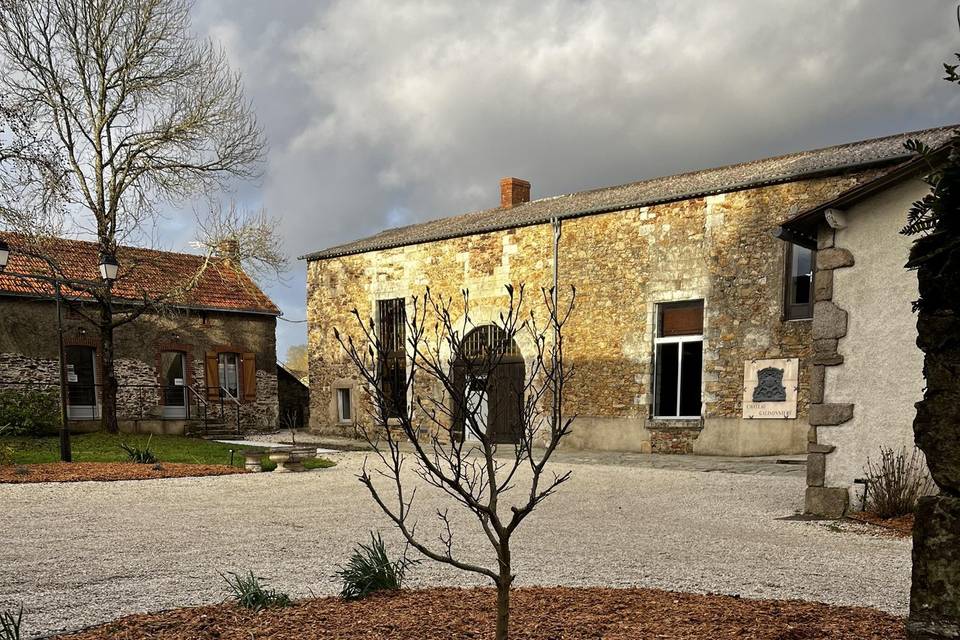 Cour