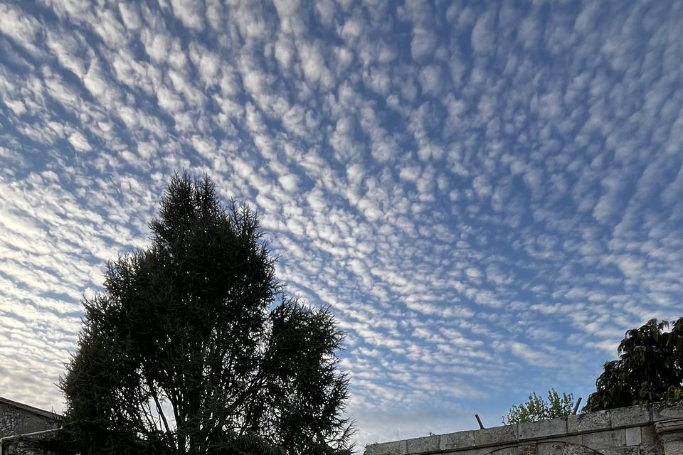 Sky