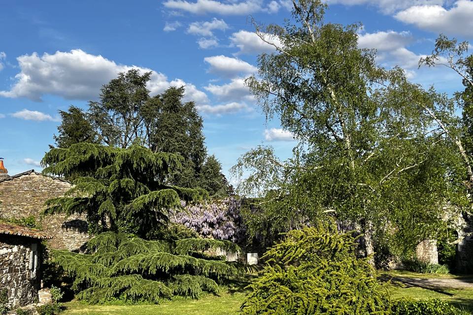 Glycine