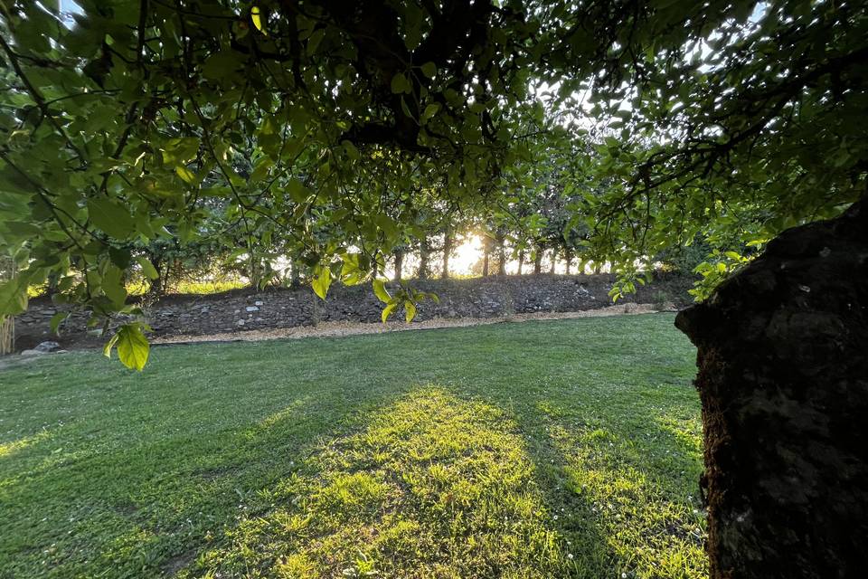 Jardin 0527
