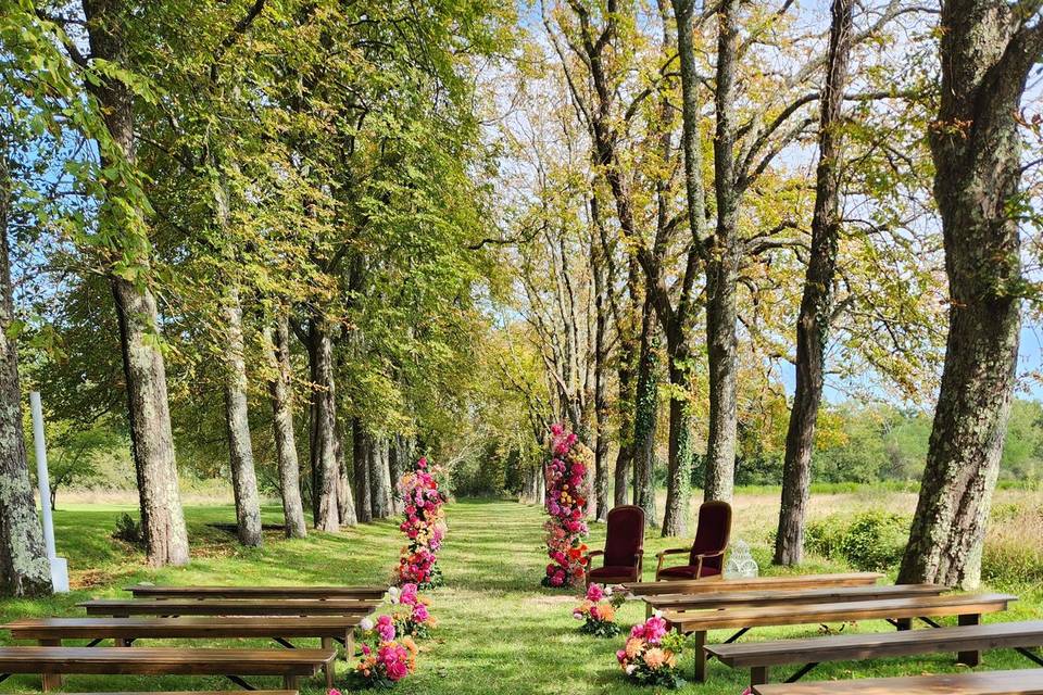 Allée cérémonie