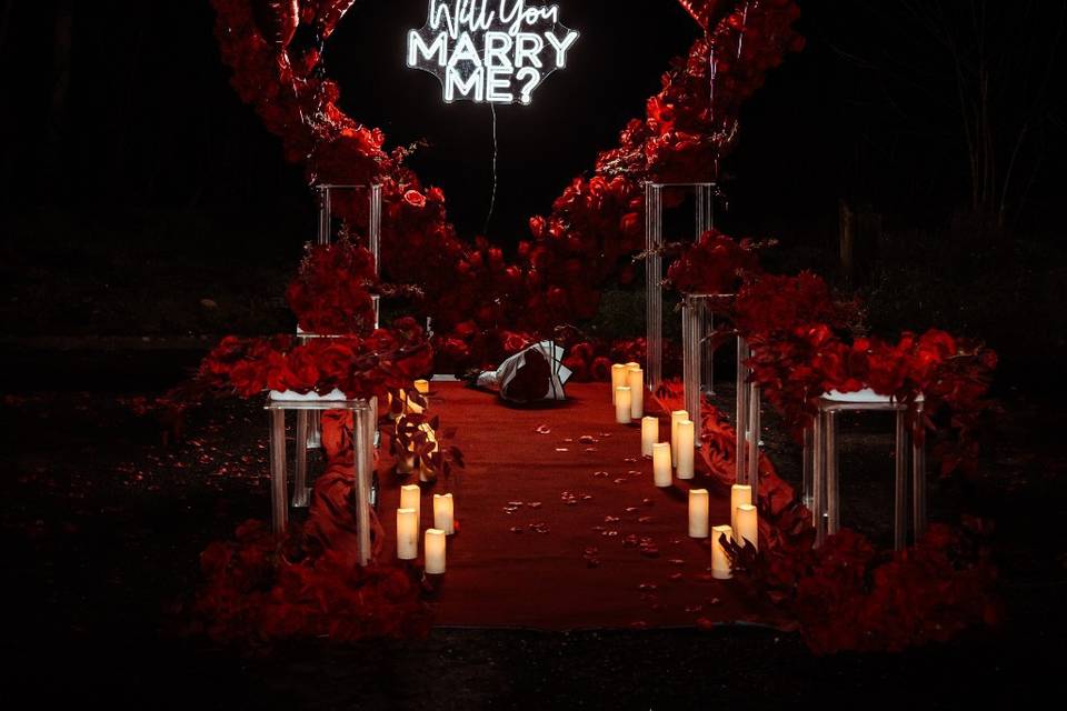Demande en mariage de nuit