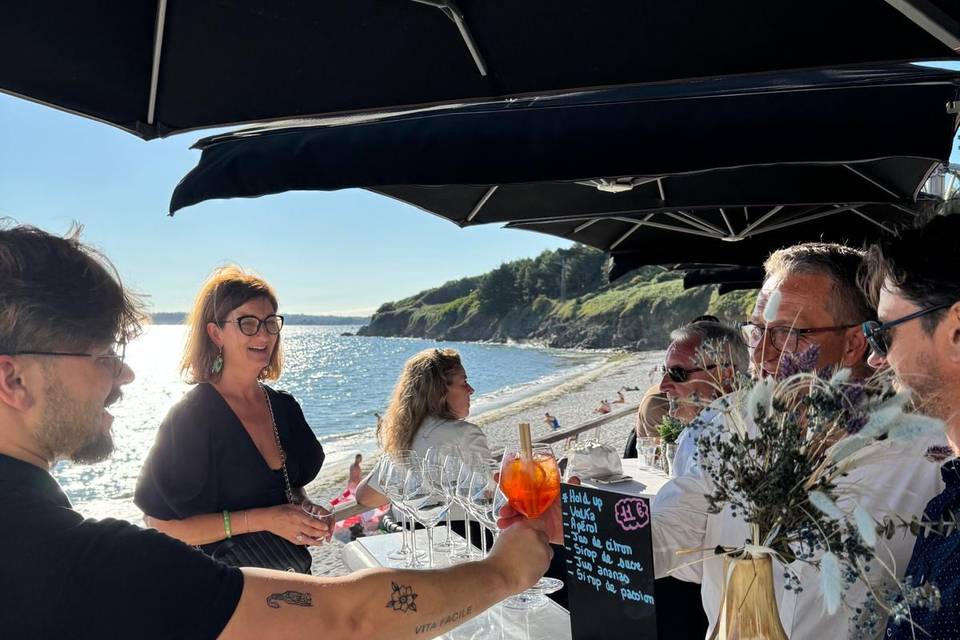 Bar mobile pour cocktail