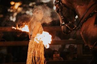 Fire Horse Show