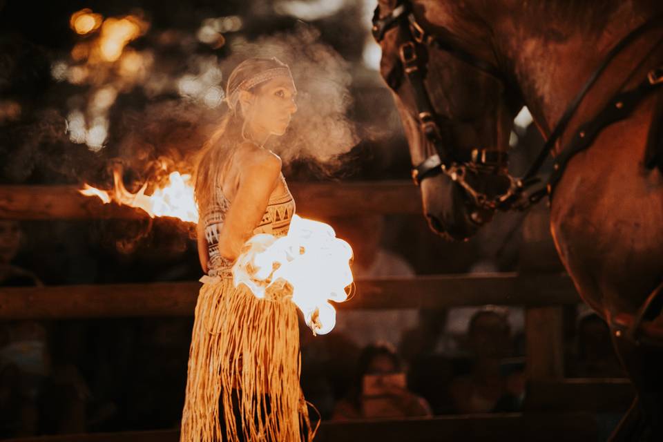 Fire Horse Show