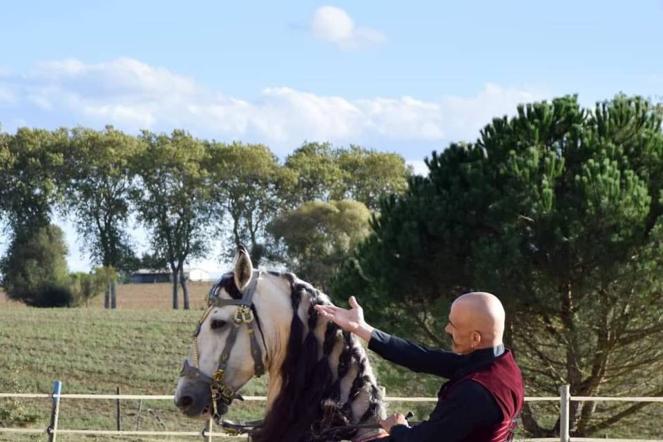 Fire Horse Show