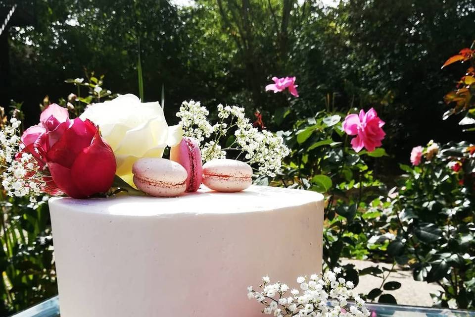 Macarons and blooms